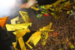 BVB Fans