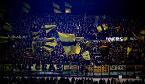 BVB Fans